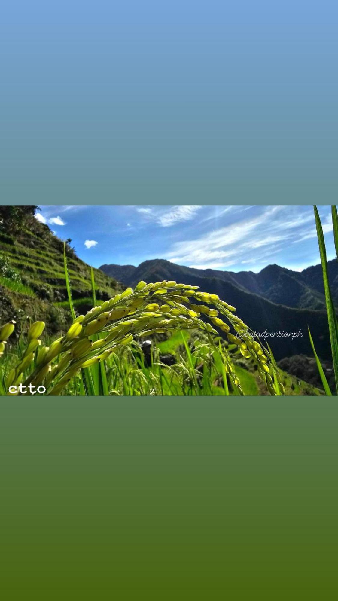 Batad Pension Ph Banaue Zewnętrze zdjęcie